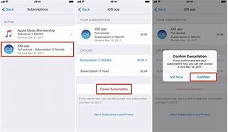 Image result for Apple Subscriptions Manage