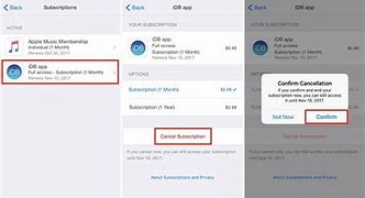 Image result for how to cancel subscriptions on iphone