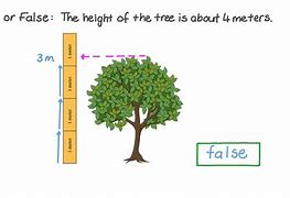 Image result for 1.5 Meters Tall