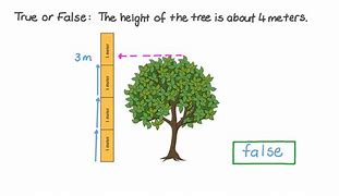 Image result for Two Meters Tall