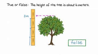 Image result for How Tall Is 2.7 Meters