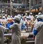 Image result for Empty Meat Factory