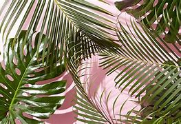 Image result for Aesthetic Green Wallpaper Big Screen