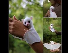 Image result for Bat Toy Pics