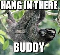 Image result for Geting the Hang of It Meme