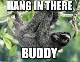 Image result for Hang in There Old Buddy