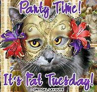 Image result for Fat Tuesday Cat Meme