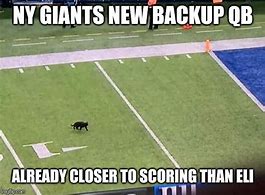 Image result for NY Giants Lose Meme