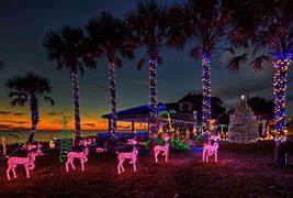 Image result for Happy Holidays From Florida
