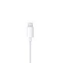 Image result for iPhone 7 Apple EarPods