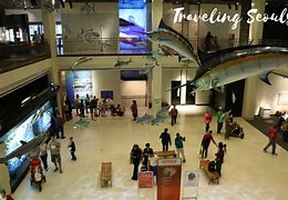 Image result for Houston Natural Science Museum