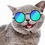 Image result for Cat HR Meme