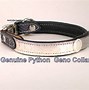 Image result for Unique Leather Dog Collars