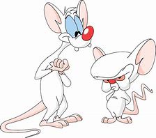 Image result for Pinky and the Brain Tumbler PNG