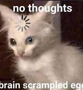Image result for Cat Brain Think Meme