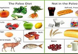 Image result for Foods You Can Eat On the Paleo Diet