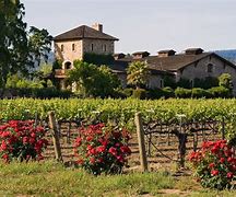 Image result for Italy Farm