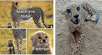 Image result for Cheetah Delete It Meme