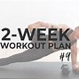 Image result for Free Workout and Meal Plan