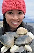Image result for Types of Clams