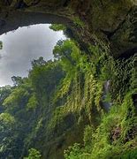 Image result for Son Doong Cave Facts