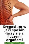 Image result for co_to_znaczy_zespół_regresji_kaudalnej