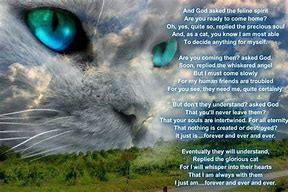 Image result for Rainbow Bridge Cat Prayer