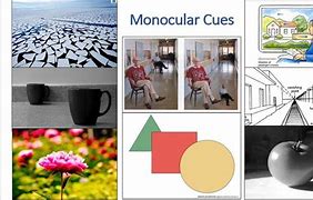 Image result for List of Monocular Cues