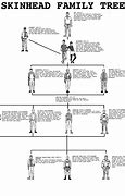 Image result for Family Tree Box