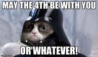 Image result for Star Wars Grumpy Cat Memes Funny
