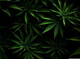 Image result for Cool Weed Wallpapers for PC