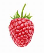 Image result for Raspberry Pi Logo Transparent