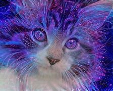 Image result for Purple Pink Cat