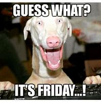 Image result for It S Friday Memes Jail