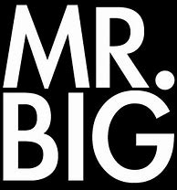 Image result for Mr. Big Dies