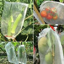 Image result for Net Bags for Vegetables