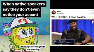Image result for Funny Memes About Study of Language