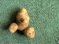 Image result for 10 Pound Bag Potatoes