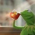 Image result for Kermit Lord Memes