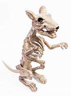 Image result for Skeleton Rat Halloween Decoration