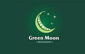 Image result for Moon Logo Design
