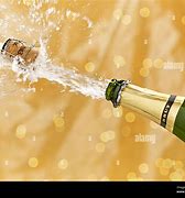 Image result for Champagne Cork