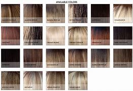 Image result for Noriko Wig Color Chart