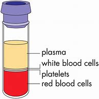 Image result for Plasma of Blood