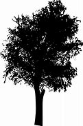 Image result for Tree Top Silhouette PNG