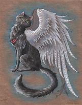 Image result for Mythical Winged Cat