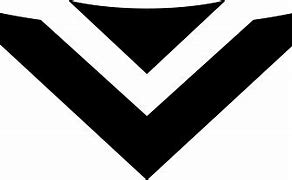 Image result for Vizia Logo