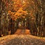 Image result for Late Fall Desktop Backgrounds