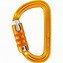 Image result for petzl climb carabiners