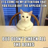 Image result for Business Cat Human Resources Meme